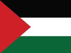 
      
      Palestine seeks intl intervention to stop tension with Israel 
      
      