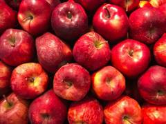 
    Study finds polyphenol-rich diets improve leaky gut syndrome in elderly
    