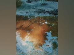
      
      New technology can produce clear images through murky water
      
      