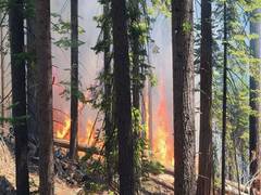 
      
      US famous national park partially closed due to wildfire
      
      