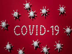 
      
      COVID-19 during pregnancy doesn't harm baby's brain: Study
      
      