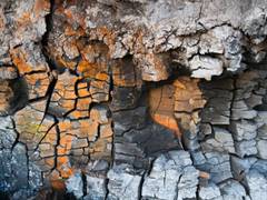 
    Human activities causing continuous land degradation: UN report
    