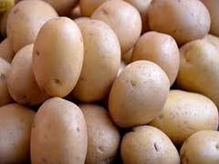 
    Potato effective for boosting athletic performance: Study
    