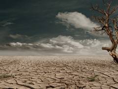 
    Past climate change 'tipping points' can help us prepare for future: Study
    