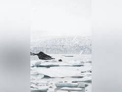 
      
      Antarctica's ice shelves can melt at accelerated rate
      
      