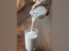 
      
      Scientists explain why warm milk can make people sleepy
      
      