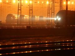
      
      Beijing shutdown dozens of metros to contain COVID 
      
      