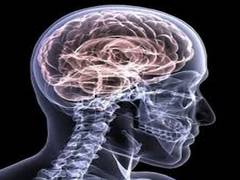 
      
      Traumatic brain injuries in veterans linked to higher suicide risk
      
      
