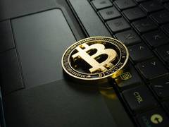 
      
      AVAX, MATIC, XMU are coins to watch out when bull market resumes
      
      