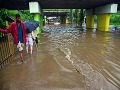 
      
      Konkan, Goa to receive heavy rainfall today: IMD
      
      