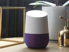 
      
      New Nest-branded speaker could replace the 2016 Google Home 
      
      