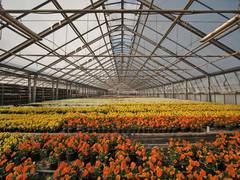 
      
      Study finds smart greenhouses may slash electricity costs
      
      