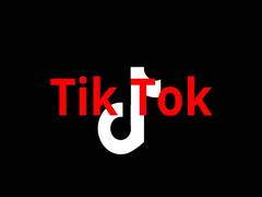 
      
      TikTok says it is not influenced by Chinese govt
      
      