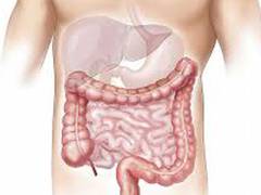
      
      Poor gut health connected to severe COVID-19, new review shows
      
      