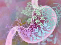 
      
      Study identifies distinct gut bacterial profile responsive to...
      
      