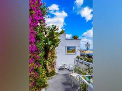 
      
      Research: City heat can be reduced by rooftop gardens
      
      