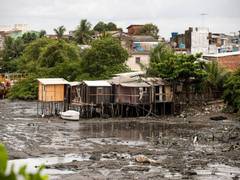 
      
      Climate change is making Indian monsoon season chaotic
      
      