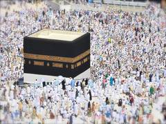 
      
      J-K: Tehsildars in Ramban directed to receive applications...
      
      