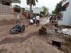 
      
      Andhra Pradesh: TDP leader killed in political rivalry
      
      