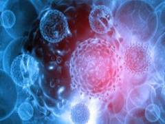 
      
      Researchers develop tech to predict chemotherapy effectiveness
      
      
