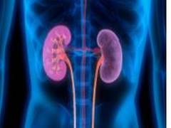 
      
      Researchers analyze new drug combination to improve survival...
      
      