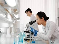 
      
      Study shows stem-like T cells could aid immunotherapy in...
      
      
