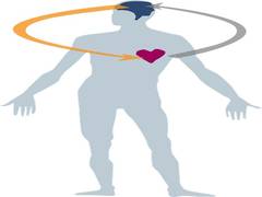 
      
      Disrupting body clock can be detrimental to health
      
      