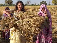 
      
      Hema Malini in full campaign mode, seen working in field with...
      
      