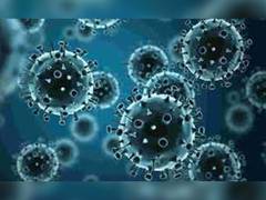 
      
      Study finds herpes checks into the nervous system to last long
      
      