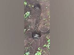 
      
      BSF unearths 2 IEDs in Odisha's Swabhiman Anchal
      
      