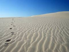 
      
      The earth is running out of sand: study
      
      