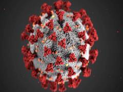
      
      Study finds mass, diversity of SARS-CoV-2 virions person...
      
      
