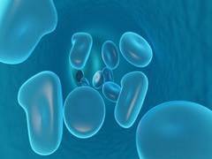 
      
      Nano-materials shape, form influences their ability to cross...
      
      