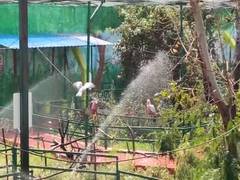 
      
      Kamala Nehru Zoological Museum arranges AC, water coolers
      
      