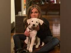 
      
      Jennifer Aniston cuddles up with pet dog on Thanksgiving:...
      
      