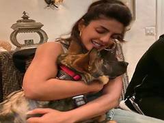 
      
      Priyanka Chopra shows gratitude towards coronavirus warriors
      
      