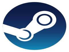 
      
      Steam to support online multiplayer games
      
      
