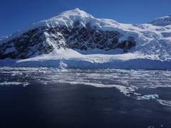 
      
      Worsening rifts, fractures spotted at two of Antarctica's key...
      
      