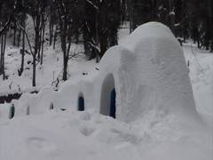 
      
      Igloo stay in Manali attracts tourists, locals too! 
      
      