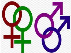 
    Research unearths correlation between gender norms and views towards homosexuals 
    