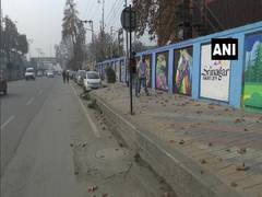 
      
      J-K: Graffiti artwork beautifies Srinagar city walls 
      
      
