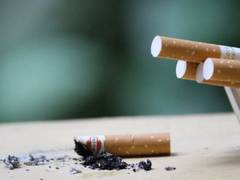 
      
      New technique reduces nicotine levels, harmful compounds...
      
      