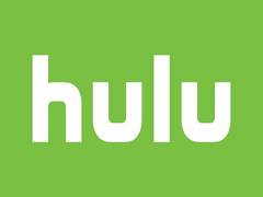 
      
      Hulu network not proceeding with Marvel series 'Ghost Rider'
      
      