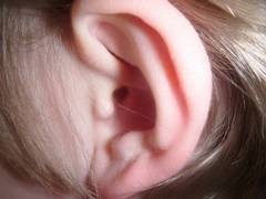 
      
      Do you shake head to remove water from ears? Study says don't!
      
      