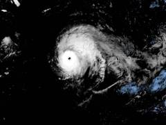 
      
      Category 4 Hurricane Laura makes landfall in US' Louisiana
      
      