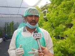 
      
      Hyderabad couple grows vegetables without using soil
      
      