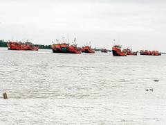 
      
      Coast Guard brings back 516 fishermen, 32 Indian boats...
      
      