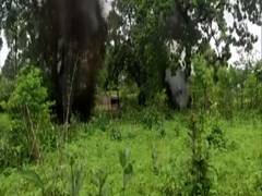 
      
      Chhattisgarh: 3 IEDs found, defused in Sukma
      
      