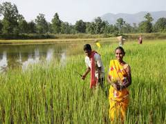 
      
      BALCO transforming the lives of farmers in the vicinity
      
      