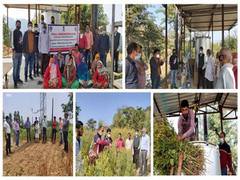 
      
      Marigold oil production doubles income of farmers in...
      
      